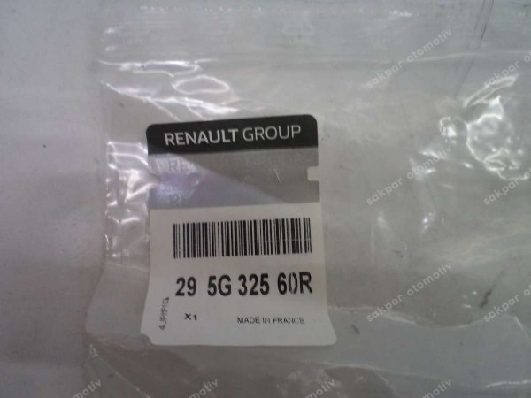 Renault Zoe Sızdırmazlık Contası  Orj 295G32560R YP (DB1312)