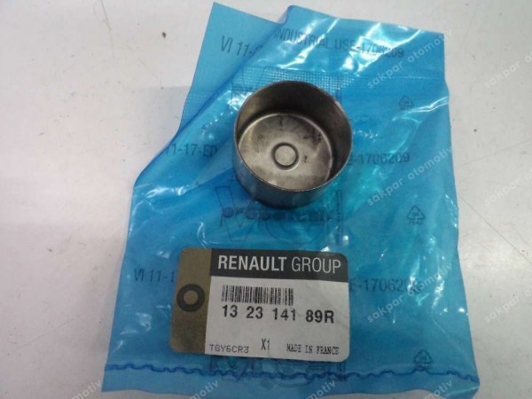 Renault Clio 5 Supap Kadehi Orj 132314189R YP (GA135)