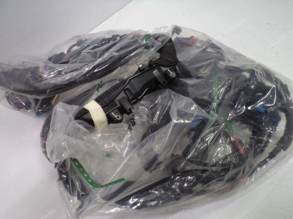 Renault Megane 4 Motor Elektrik Kablo Tesisatı Orj 240117494S YP (TES7)