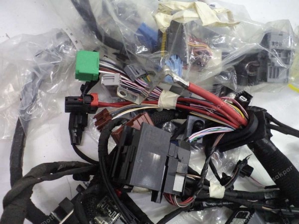 Renault Dacia Motor Ön Elektrik Kablo Tesisatı Orj 403884900R YP (TES7)