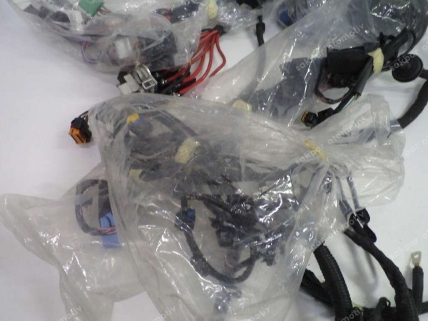 Renault Dacia Torpido Gögüs  Elektrik Kablo Tesisatı Orj 403887934S YP (TES7)