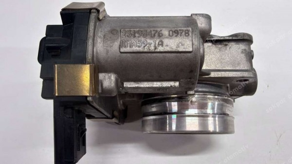 Chevrolet Captiva Cruze Gaz Kelebeği Orj. 25198476 CP (DC138)