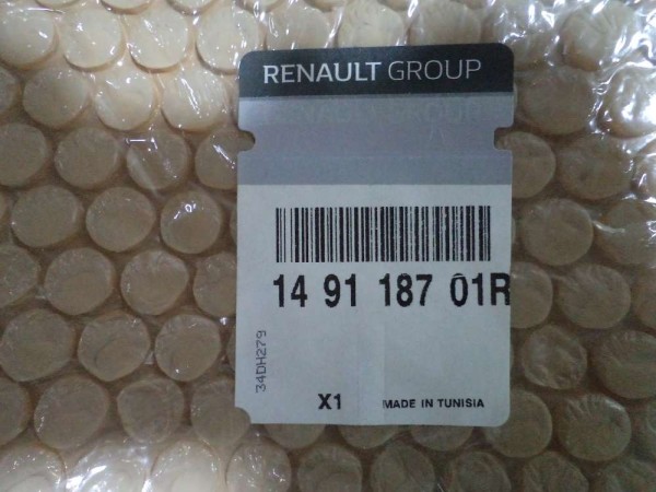 Renault Yakıt Borusu Hortumu Orj Sıfır 149118701R YP (AA200)